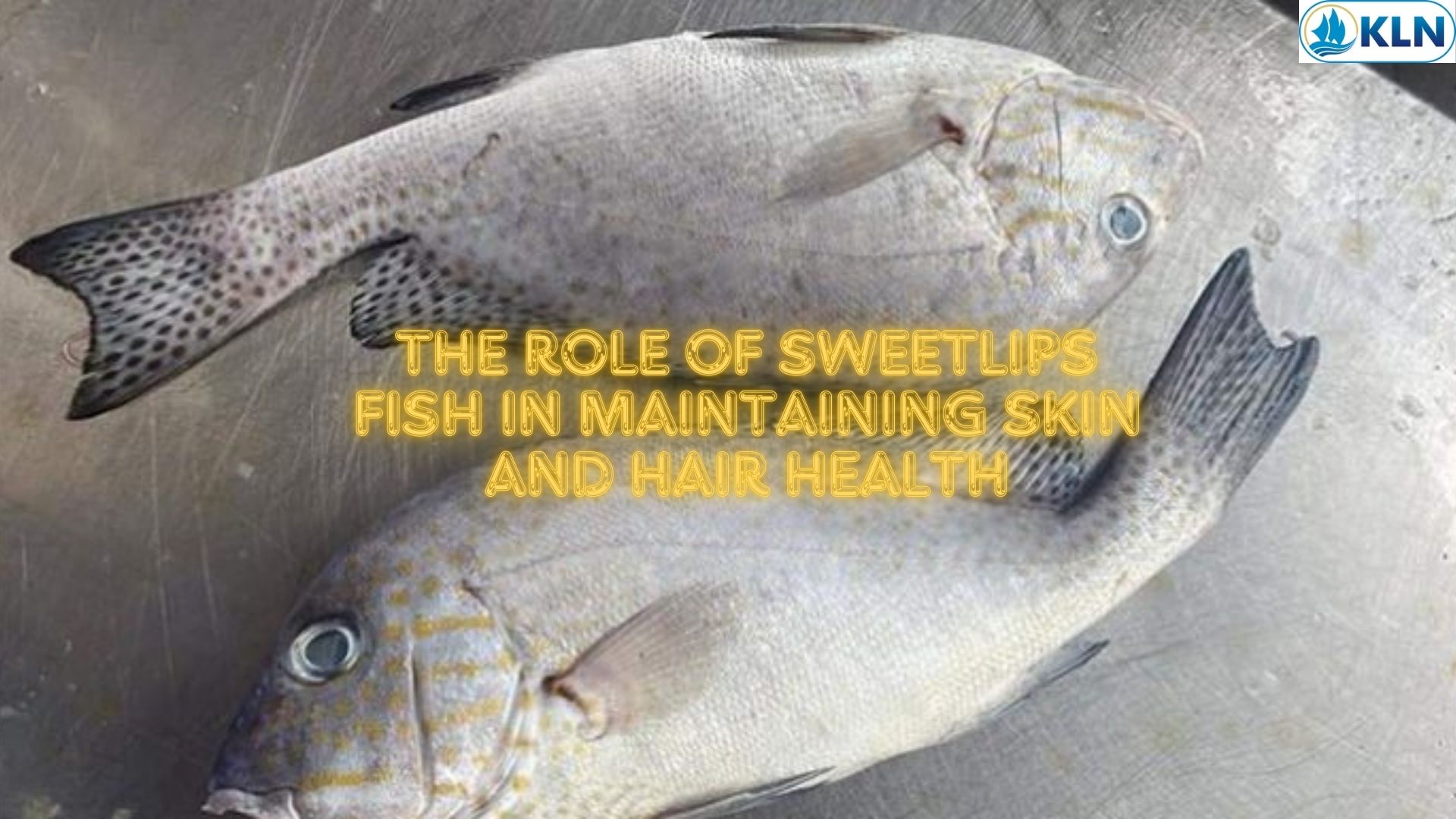 The Role of Sweetlips Fish in Maintaining Skin and Hair Health